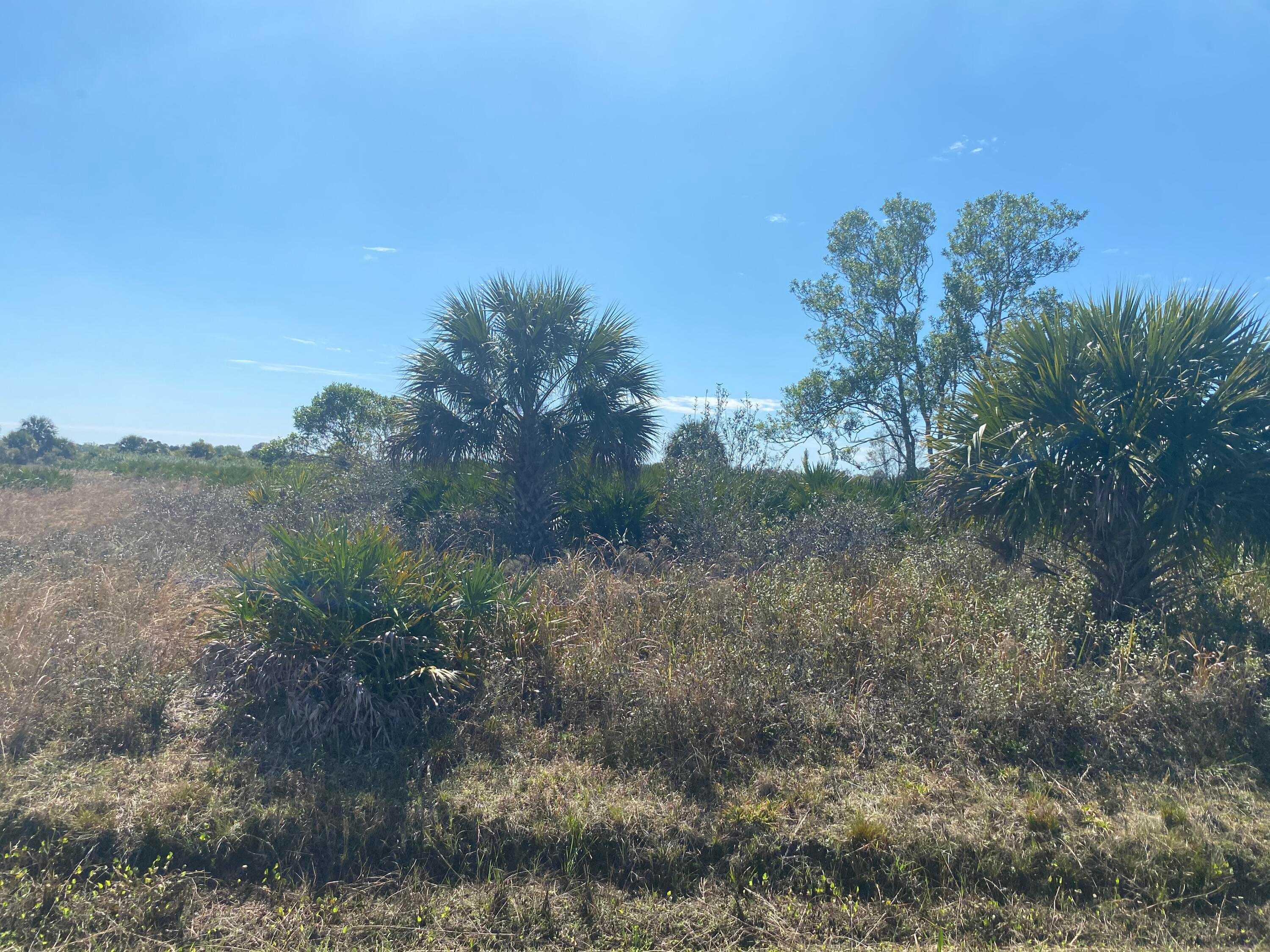 17177 314th, Okeechobee, Agricultural,  for sale, Mixon Real Estate Group, LLC